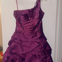 Prom/ 15 Dress 