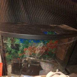 Fish Aquarium  