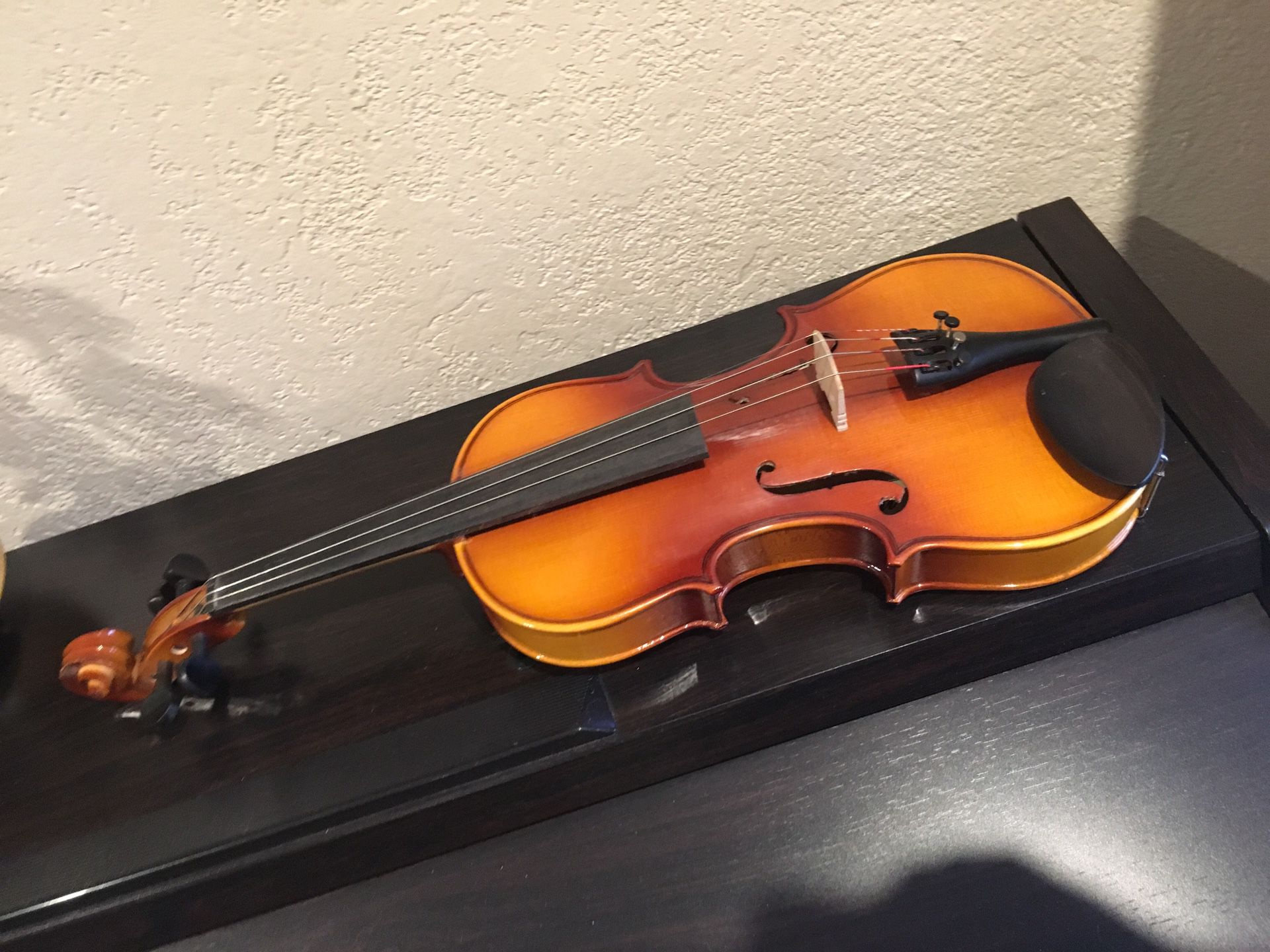 Giovanni V534 Violin