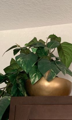 Small vase and plastic plant