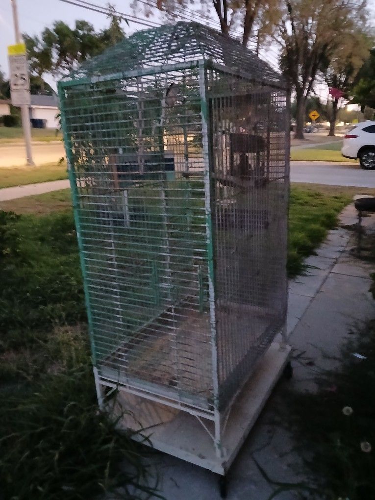 Bird Cage