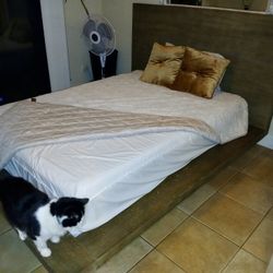 Bed Frame + Mattress