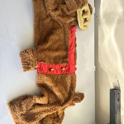 Reindeer dog costumes