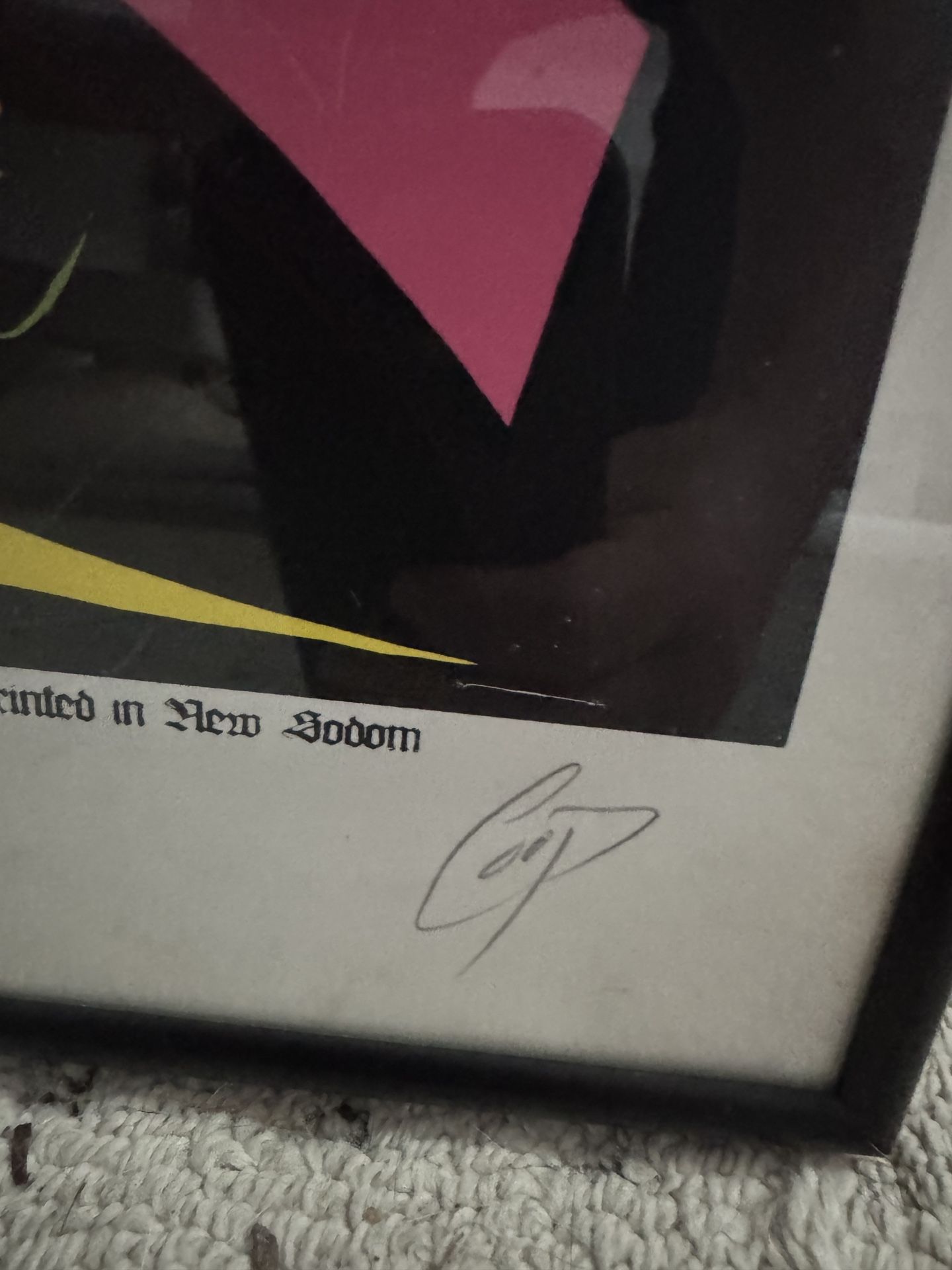 Rare COOP x The Vandals silkscreen poster print signed by the band