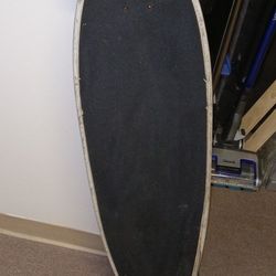 Skateboard Long Board Style