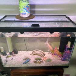 Free fish tank
