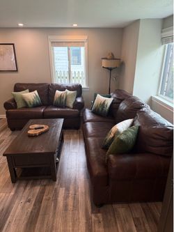 Brown Leather Couches
