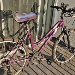 Roadmaster Granite Peak bicycle 