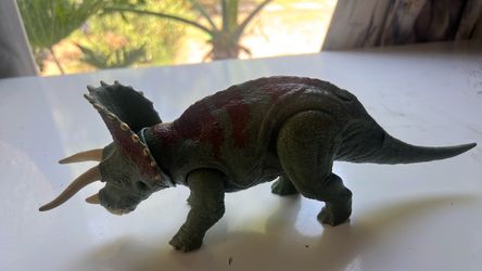 Triceratops