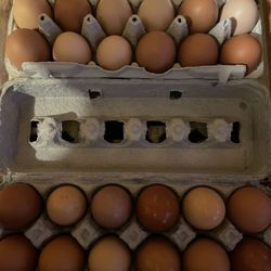 Farm Fresh Eggs 