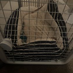 Dog Crate
