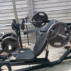 Powertec Bench
