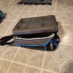 Coleman Camping Freezer Bag