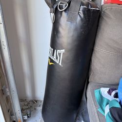 Punching Bag