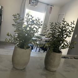 Artificial Plants