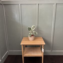 Coastal/Organic Modern Wood & Cane Accent Side Table 