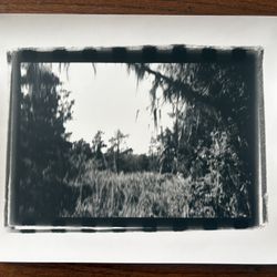 Original Artwork (Photography Prints)