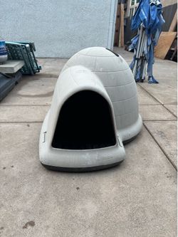 Egg glue dog house