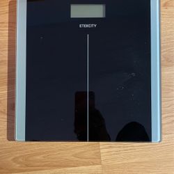Digital Scale, Bearly Used $10
