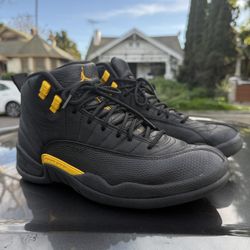 Air Jordan 12 Retro “Black Taxi” (CT8013-071) Size: 11