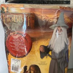Gandalf Costume