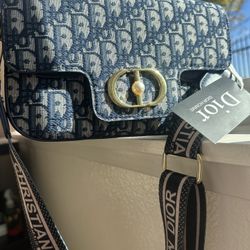 Dior Blue Bag 