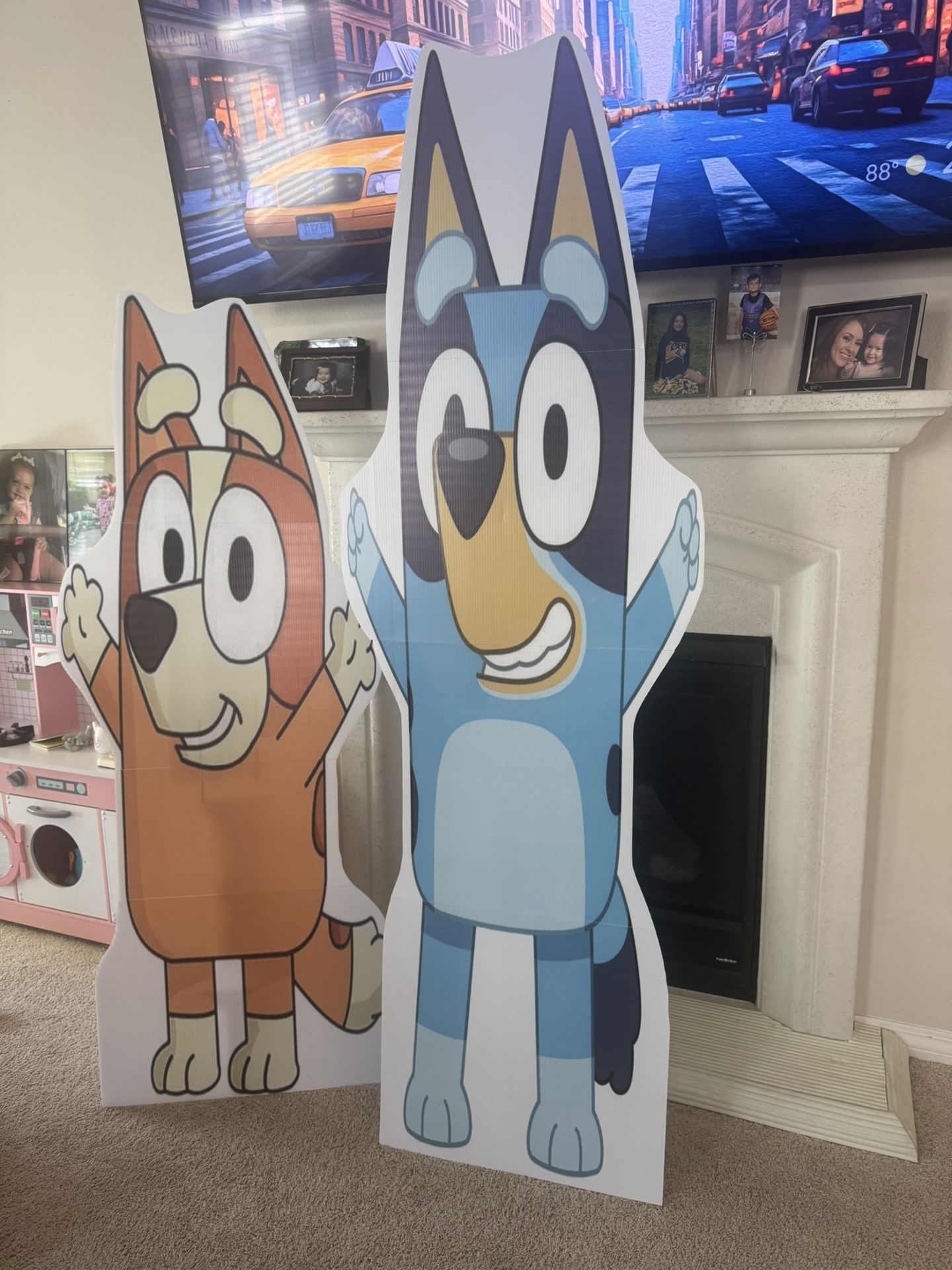 Bluey and Bingo
