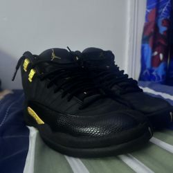 Jordan 12