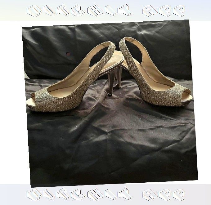 record save Celebration Wear Sparkle with Elegant and Fashionable Looks