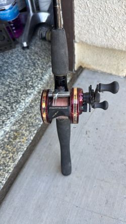 1 fishing rod and real