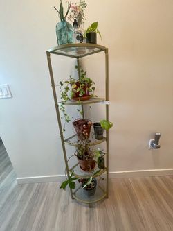 Gold Metal Corner Shelf Unit 5-Tier