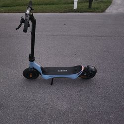 All Scooters In One Package