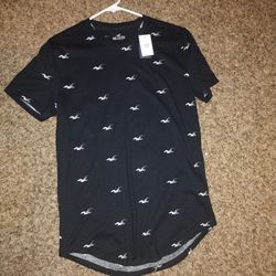 Hollister T Shirt   Black Small
