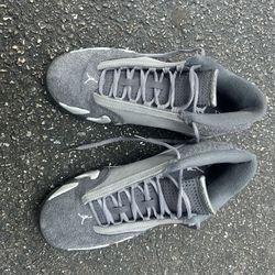 Jordan 14s