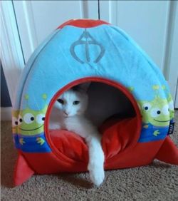 Brand new Chewy Disney Pet Beds