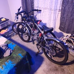 Motorized Bikes