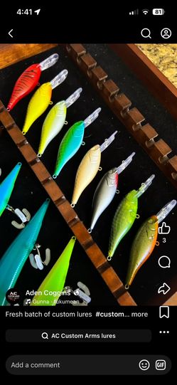 Crankbaits fishing lures