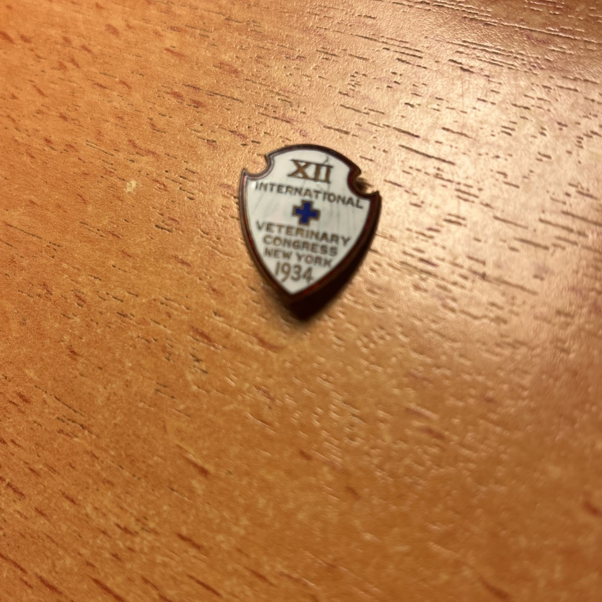 Vintage 1934 Veterinary Pin Lapel