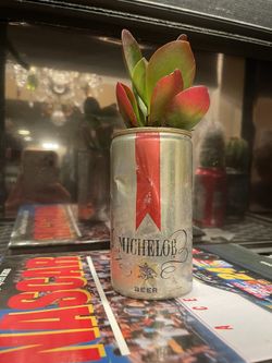 Vintage Michelob Beer Can Potted Succulent