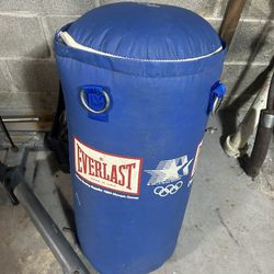 Everlast Punching Bag