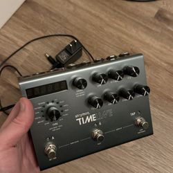 Strymon Timelive