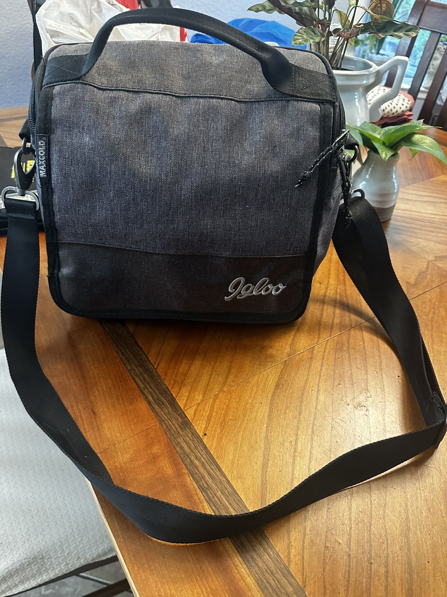 Igloo Lunch Bag Cooler $5