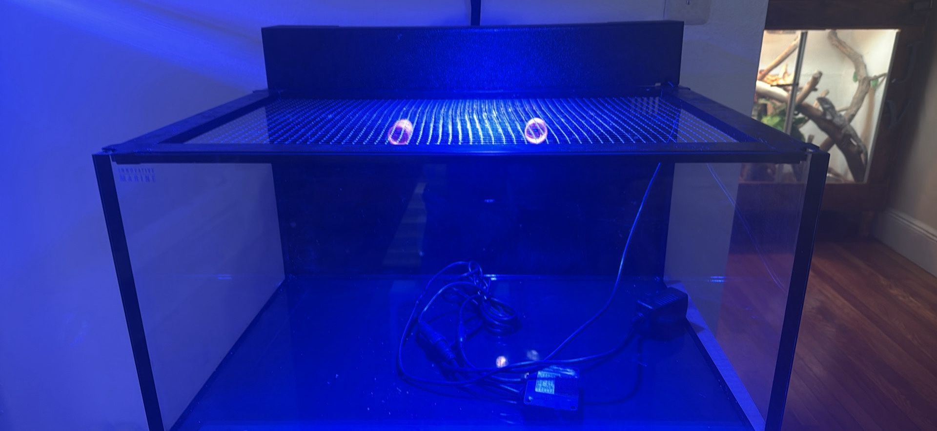 Nuvo 25 Gallon Lagoon