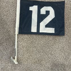 Golf cart flag 