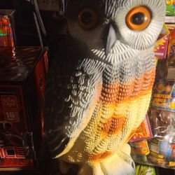 Owls 