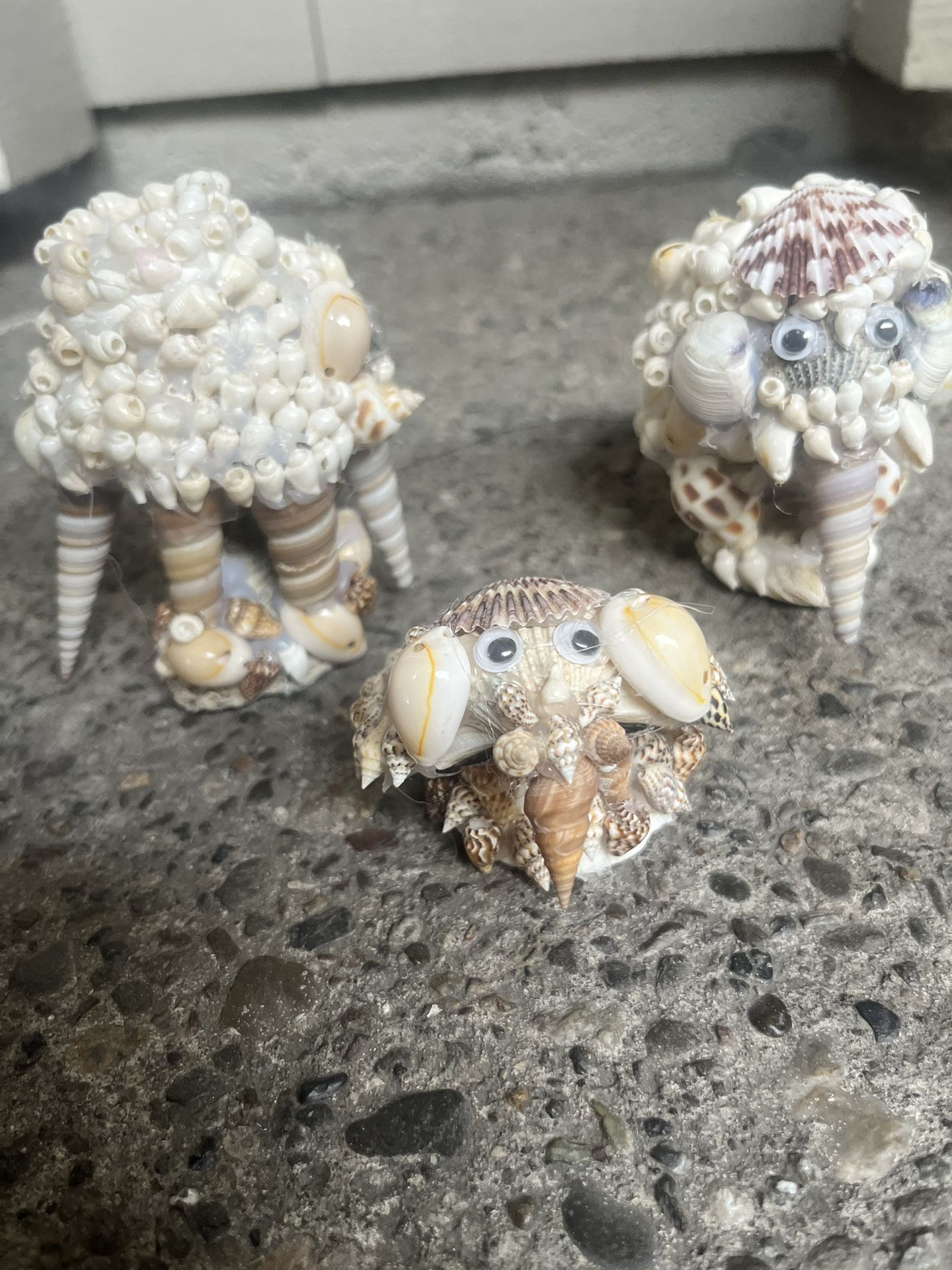 Handmade Shell Crafts For Decor & Home