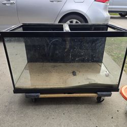 55 Gallon Tank 36x18x20