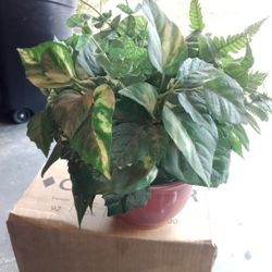 Artificial Plant