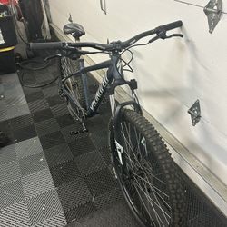 Specialized Rockhopper Mountain Bike