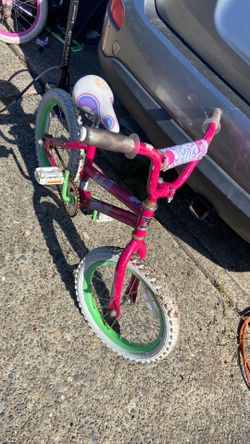 Bicycle size 16. Pick up E.  Side Tacoma